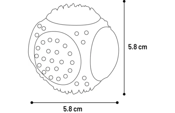 SPEELGOED RUFUS BAL & HALTER & RUGBYBAL MEERDERE KLEUREN - Afbeelding 2