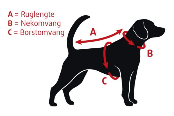 Beeztees Milo – Hondenjas + Hondentuig – Grijs - Afbeelding 4