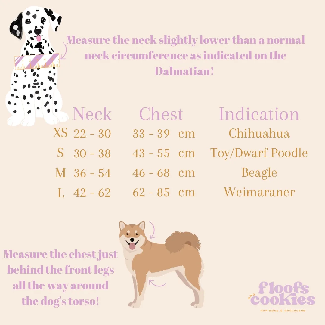 Floofs & Cookies - Nobu Harness - Afbeelding 4