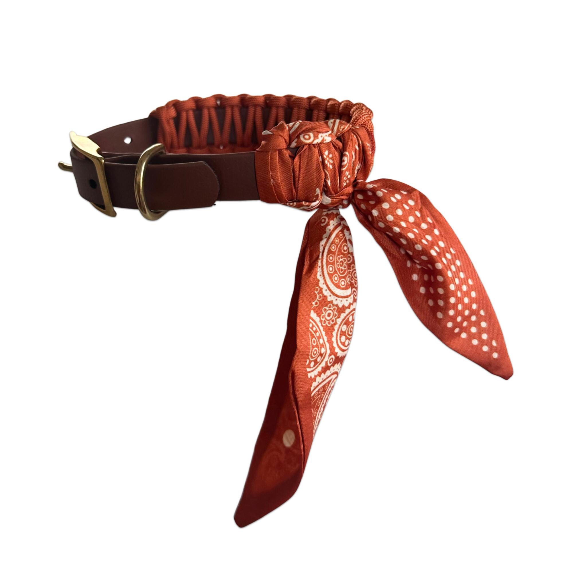 Skyo - Nova Collar Mini Squirrel - Afbeelding 3