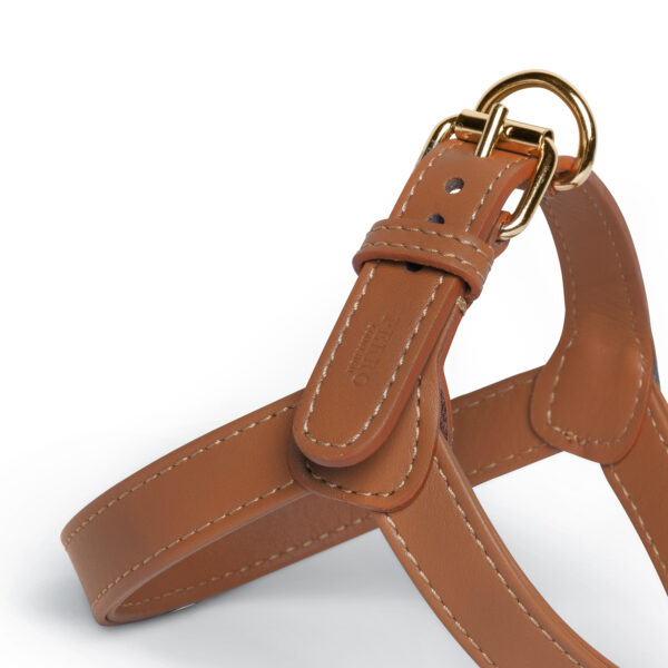 Caramel Harness - Afbeelding 2