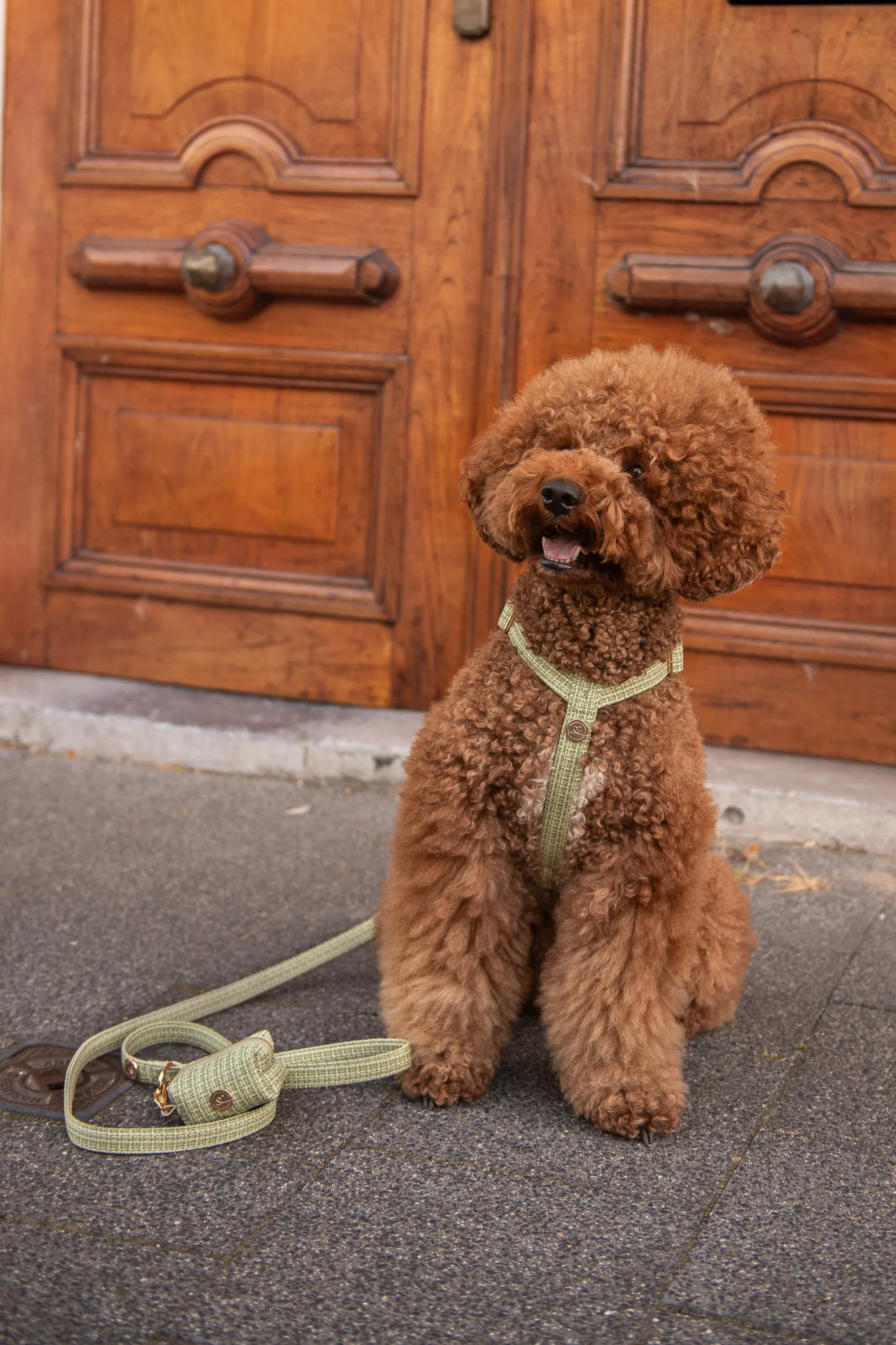 Floofs & Cookies - Kae Harness - Afbeelding 3