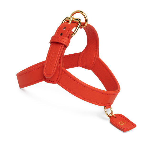 Fiamma harness