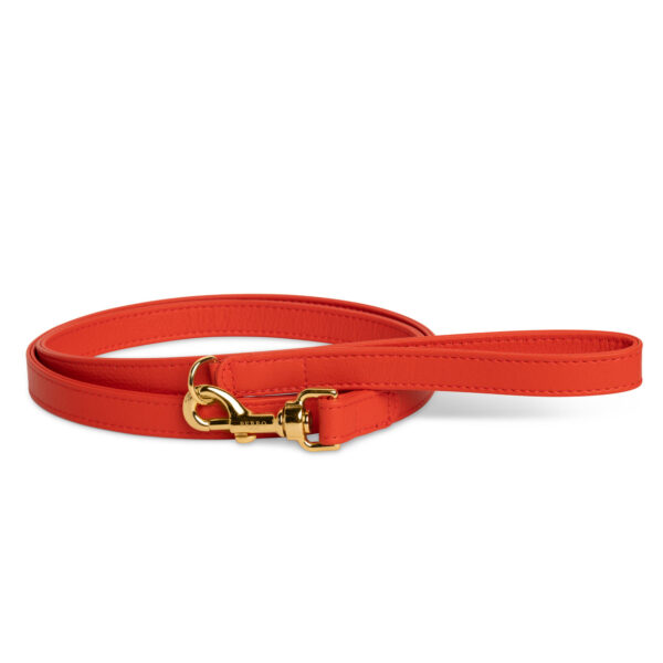 Fiamma leash