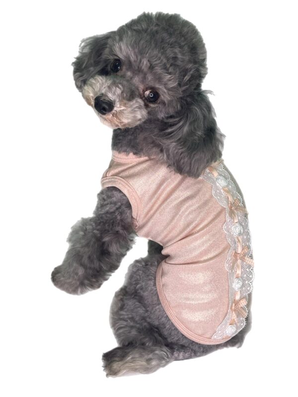 Chic Beige Dog Shirt with Lace & Bows - Size S - Image 2
