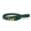 Avocado Leash