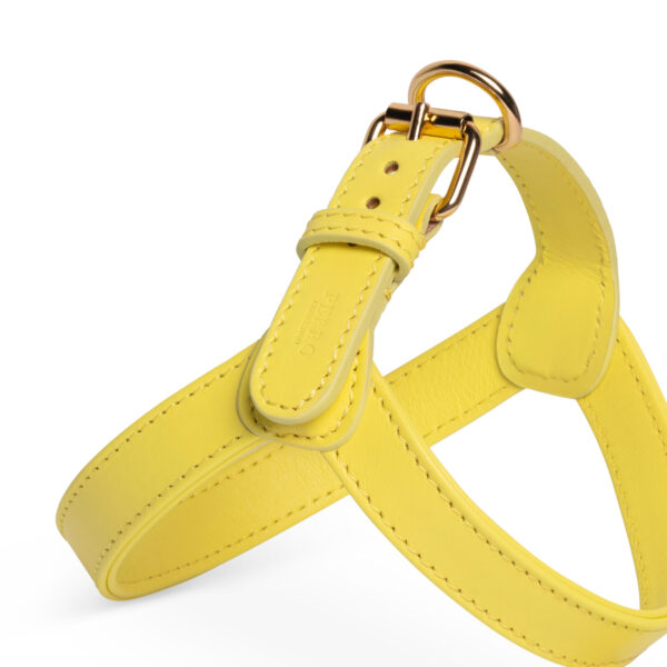 Lemon harness - Image 2