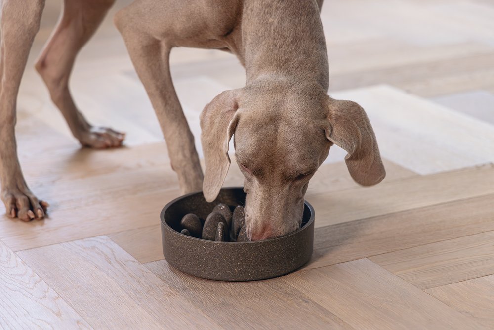 Designed by Lotte Anti Schrokbak Pom – Hondenvoerbak – Bamboo – Grijs - 30 % korting - Afbeelding 5