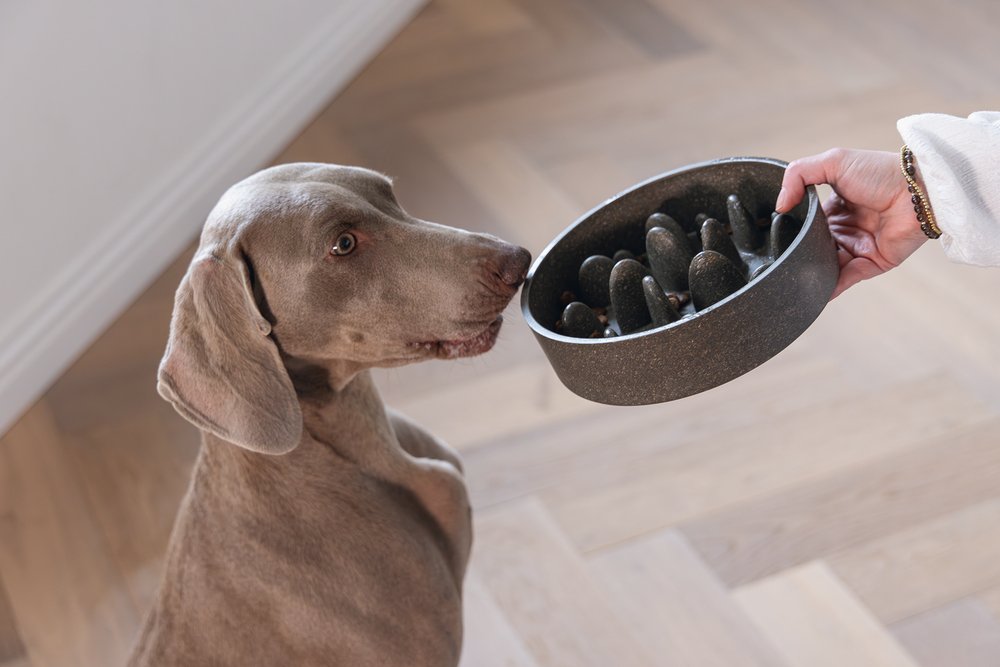 Designed by Lotte Anti Schrokbak Pom – Hondenvoerbak – Bamboo – Grijs - 30 % korting - Afbeelding 6