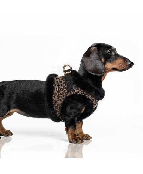 Milk And Pepper - Asha Harness - Afbeelding 2