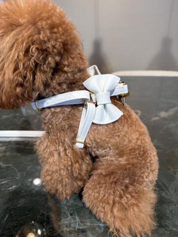 Fifi Full Metal White Leather Gold - Image 2