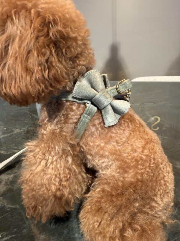 Fifi - Lilly Full Metal Herb Gold - Image 2