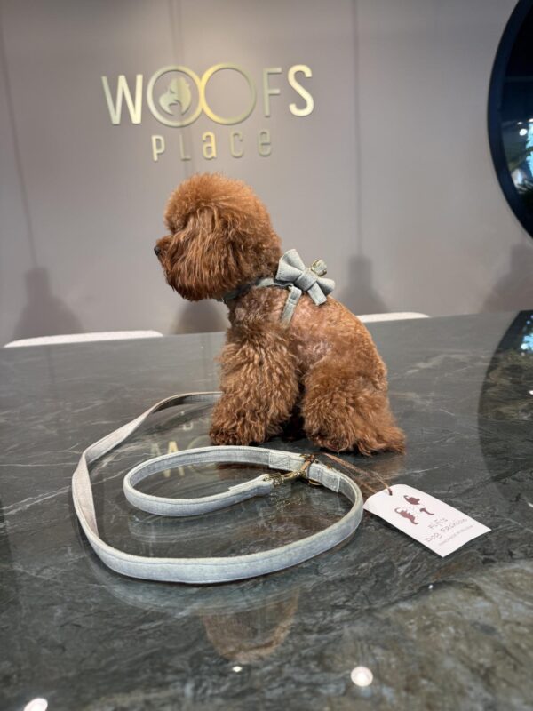 Fifi - Lilly Full Metal Herb Gold - Image 4