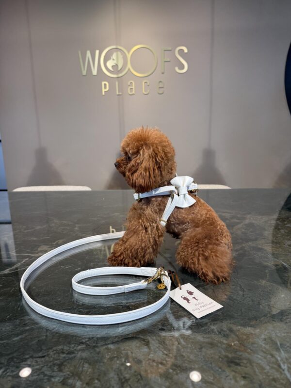 Fifi Full Metal White Leather Gold - Image 4