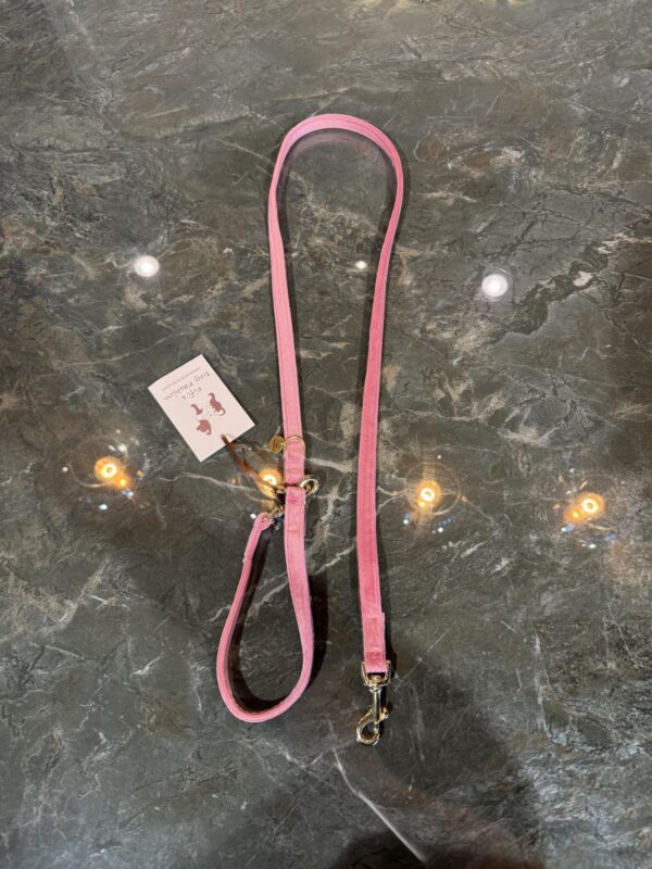 Leash Soft Pink Gold  – Fifi’s Dog Fashion