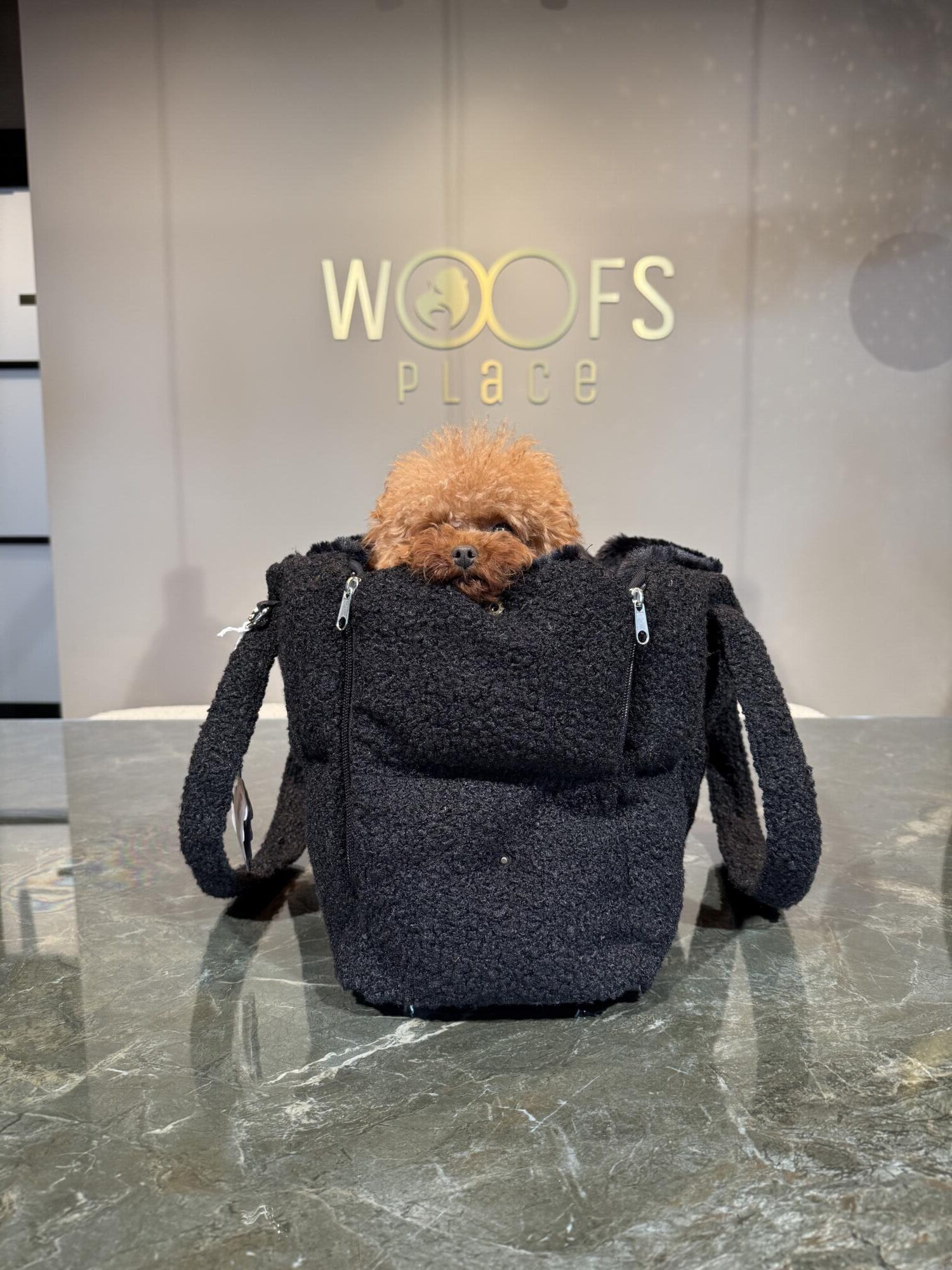 I Love My Dog Bag Black Teddy 25% Discount