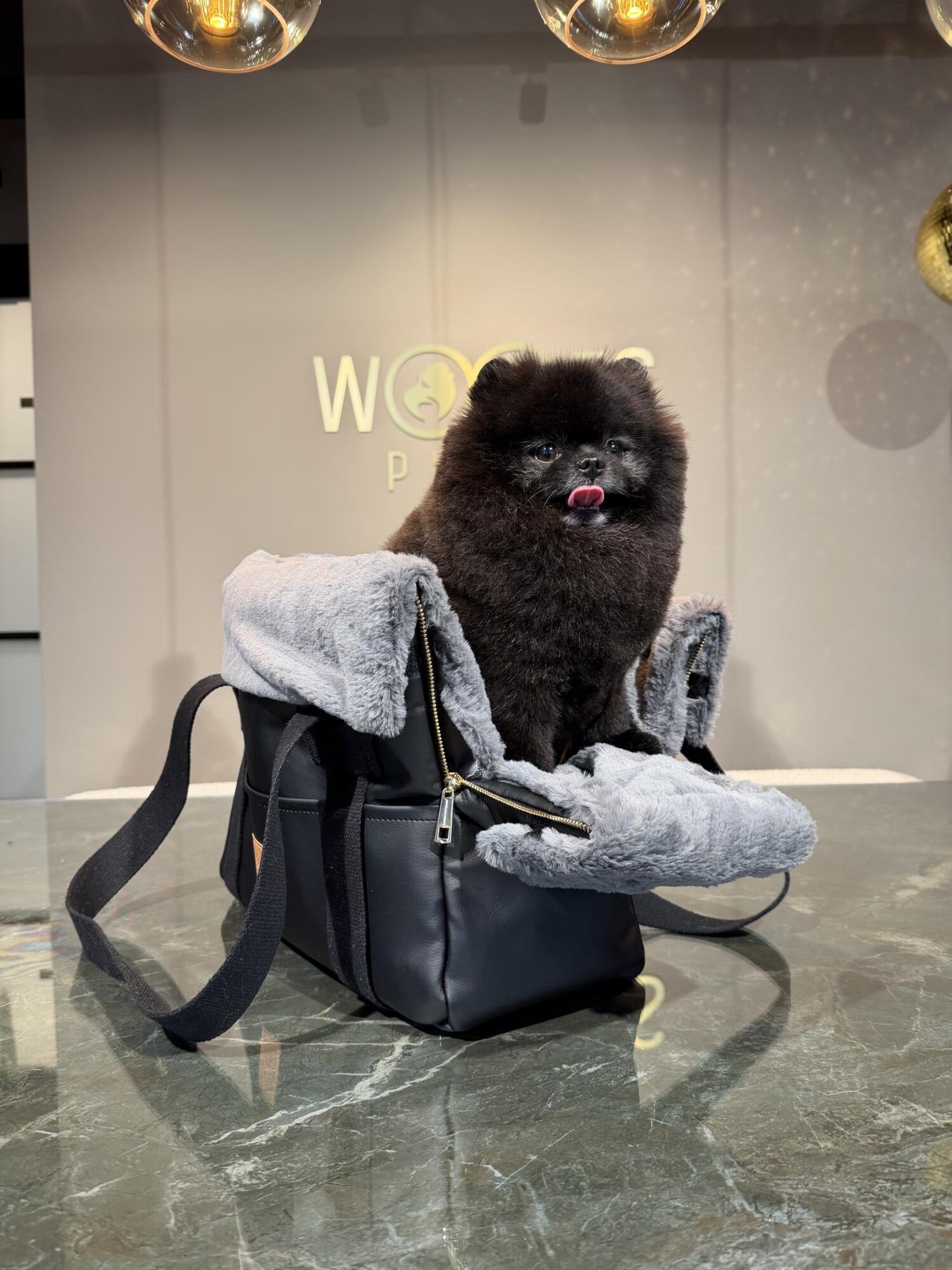 BauBau Annalisa Bag Eco Leather Tango Black + Catorino Grey