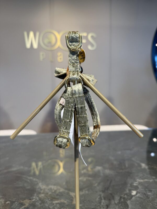 Fifi - Lilly Clear Snake Green Harness with Full Gold Metal - Image 3