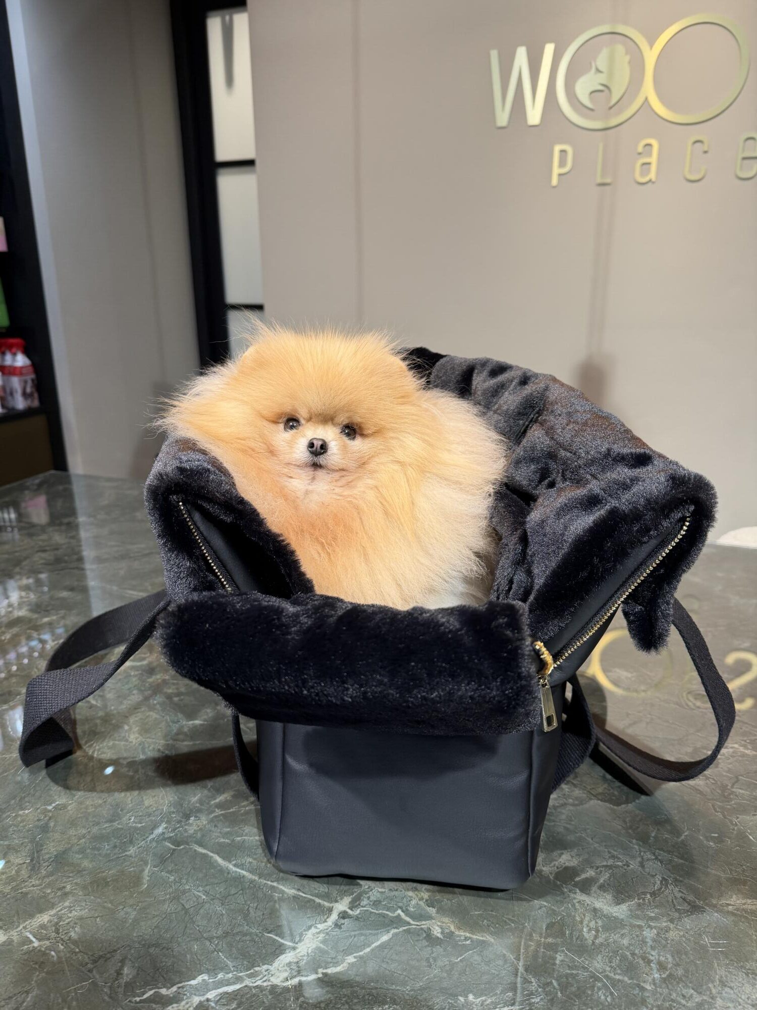 BauBau Annalisa Bag Eco Leather Tango Trap Black + Rabbit Black