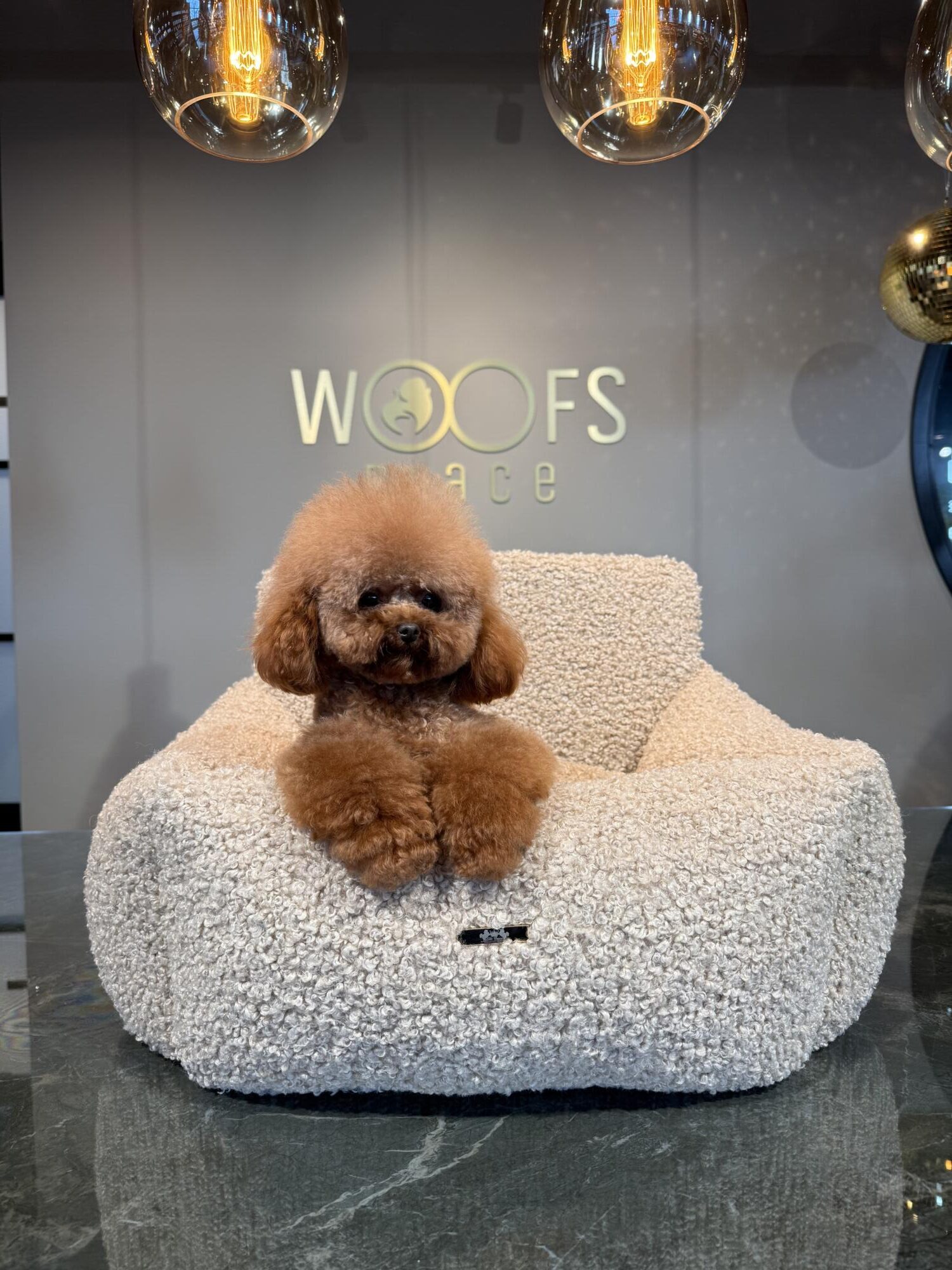 Beige Teddy Autostoel – Luxe Hondenautostoel