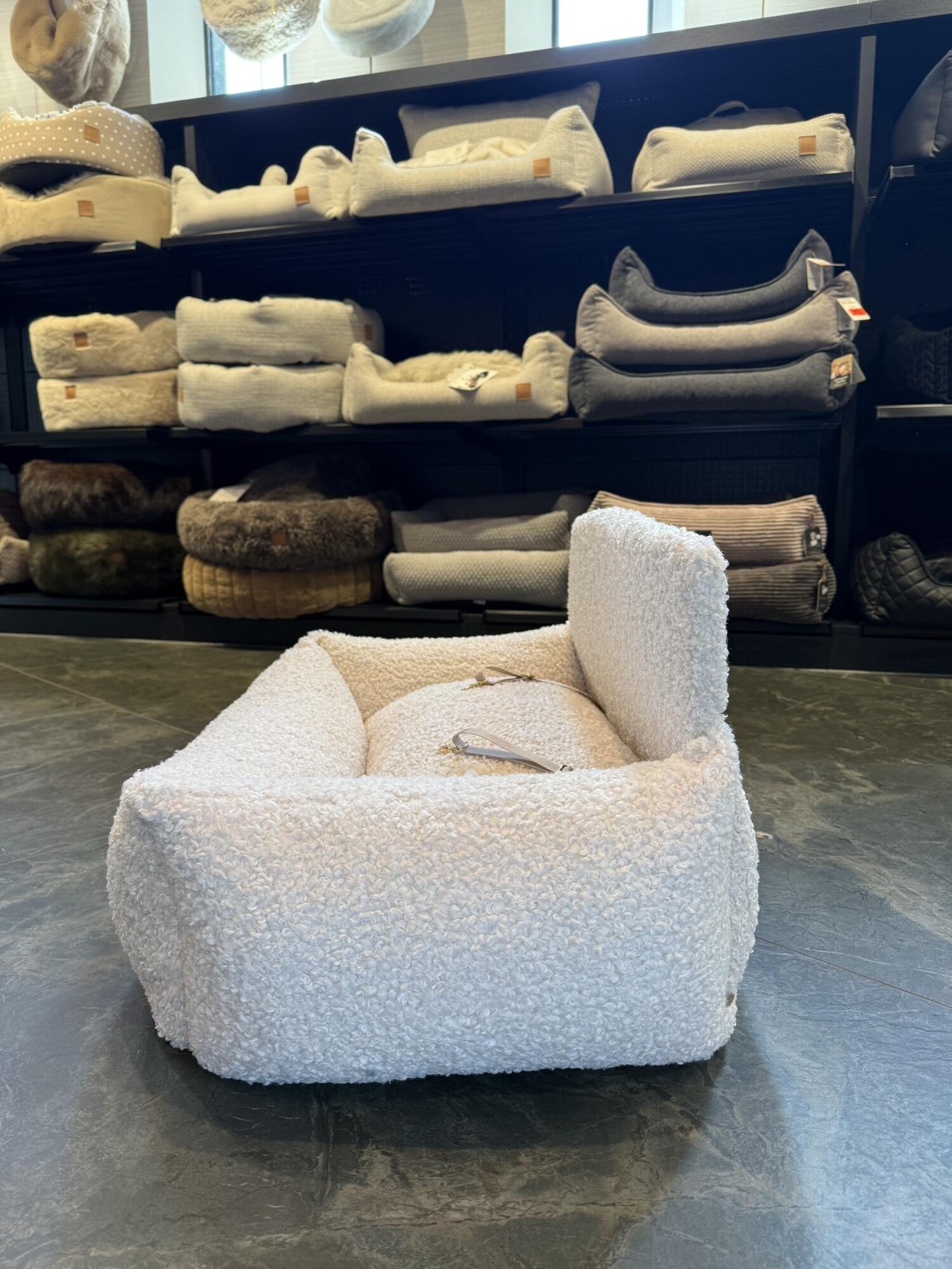Witte Teddy Autostoel – Luxe Hondenautostoel - Afbeelding 3