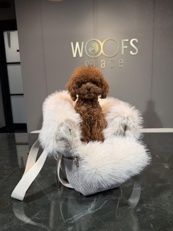 BauBau Annalisa Bag Alghero Panna + Taorinna Panna - Image 2