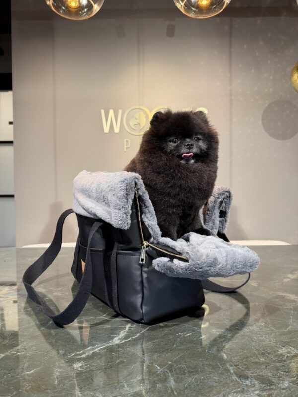 BauBau Annalisa Bag Eco Leather Tango Black + Catorino Grey - Image 2