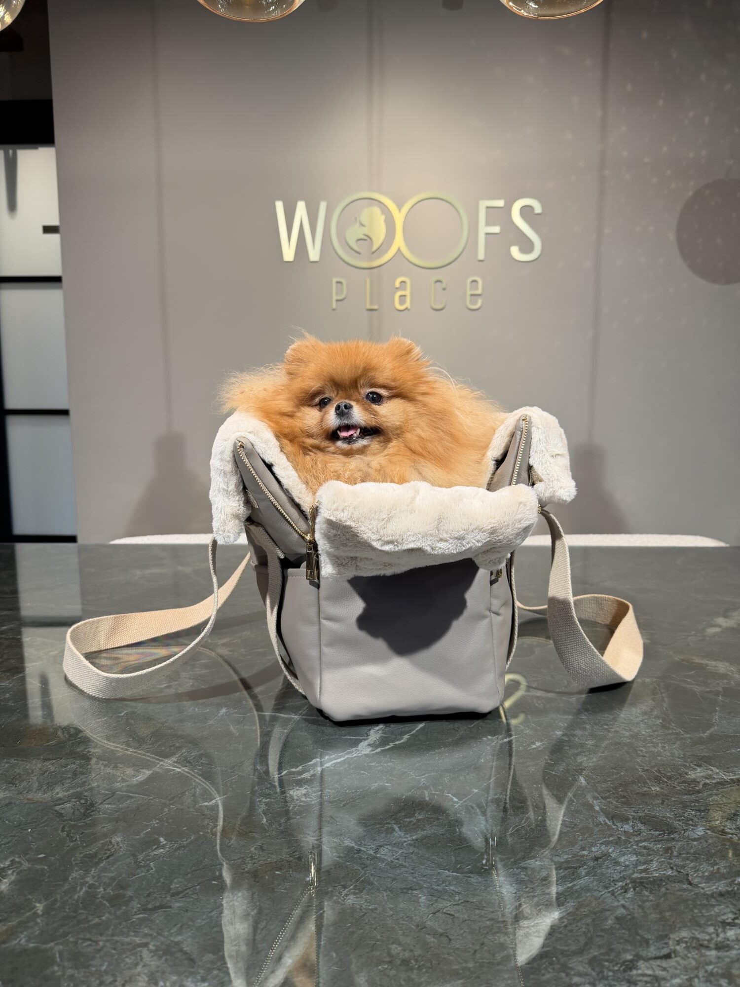 BauBau Annalisa Bag Eco Leather Tango Taupe + Castorino Beige