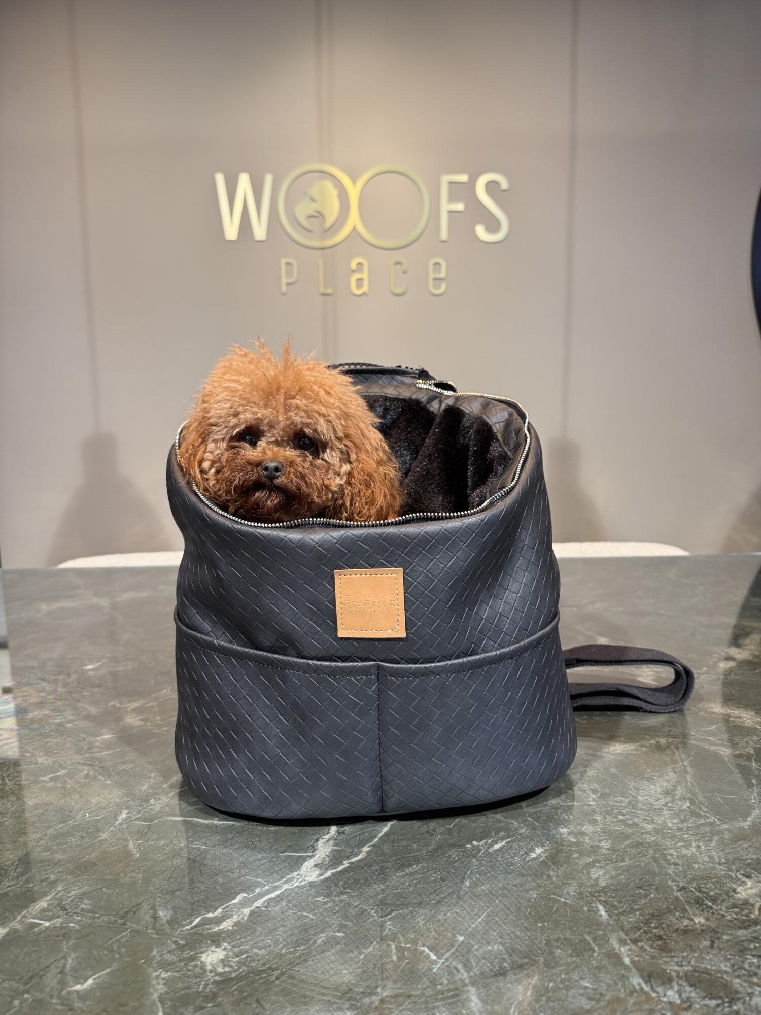 The Charly Black Bag