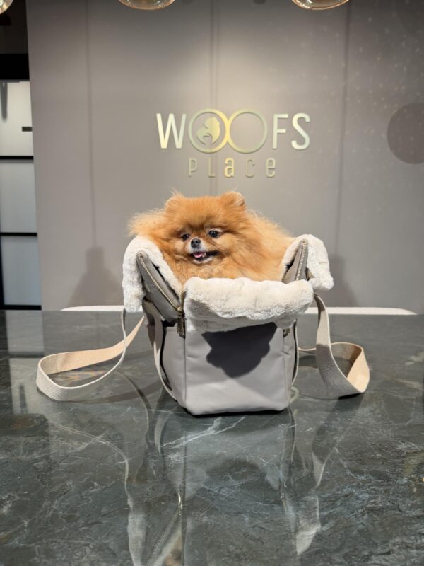 BauBau Annalisa Bag Eco Leather Tango Taupe + Castorino Beige - Image 2