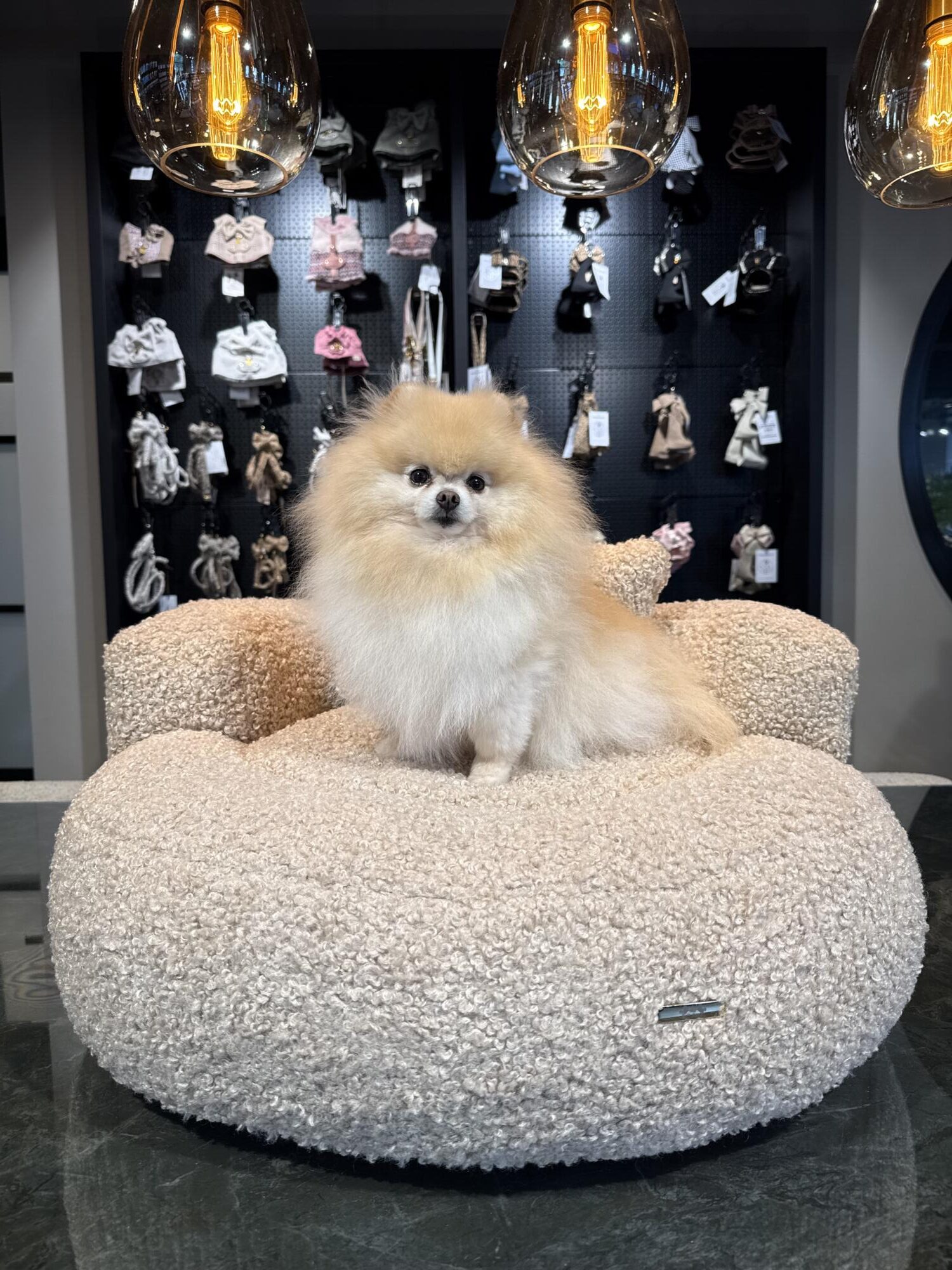 Round Sofa Bed Teddy Beige | Elittepuppy Club